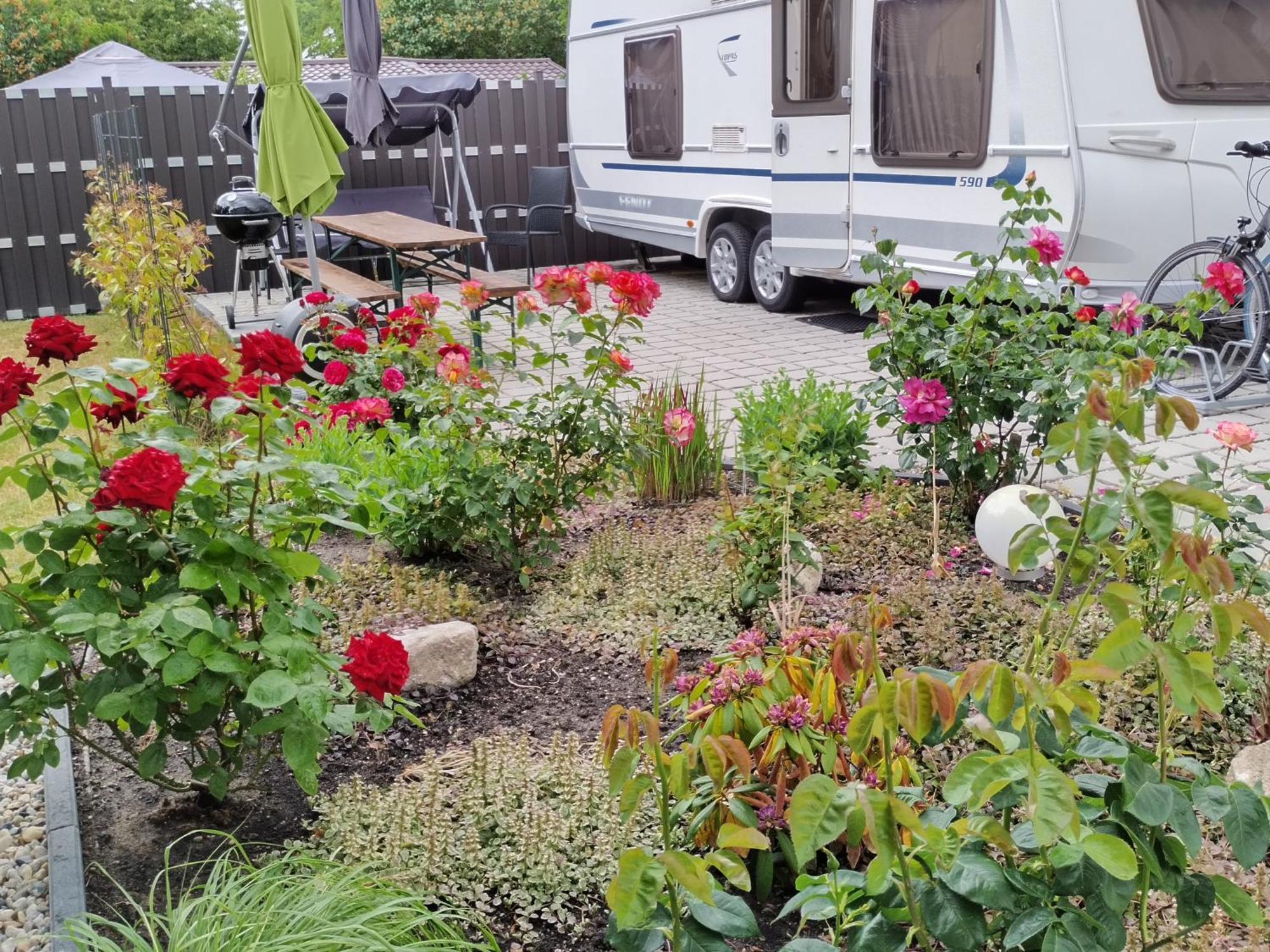 Schoene Neu Erbaute Wohnung Berlino Esterno foto